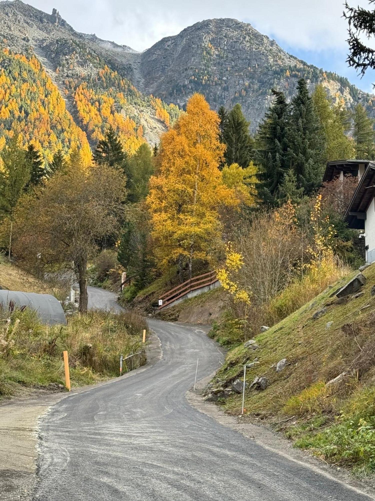 Chalet Charming Grächen Exteriör bild